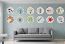 Peeling paint on house wall Professional residential house painting service Faded exterior home paint surface Painter applying fresh wall paint