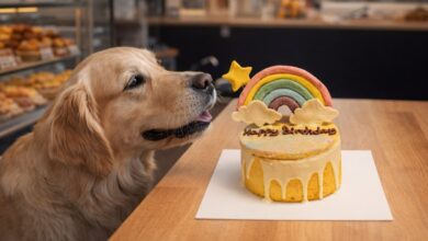 Dog Bakeries